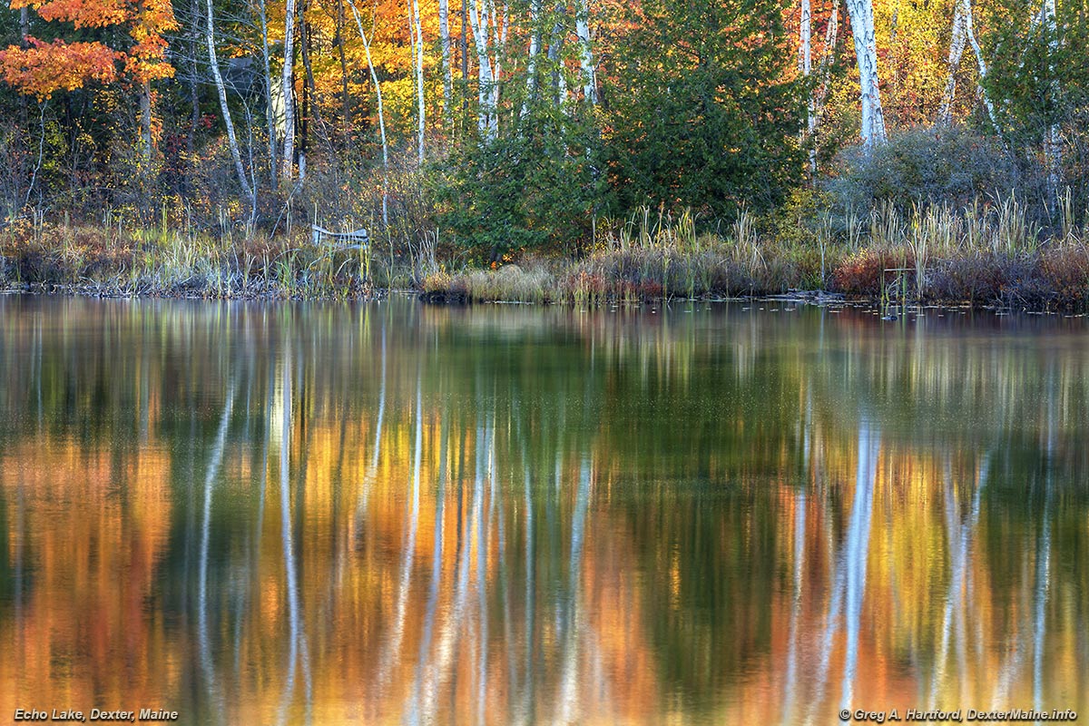 Fall Season & White Birch at Echo Lake in Dexter, Maine