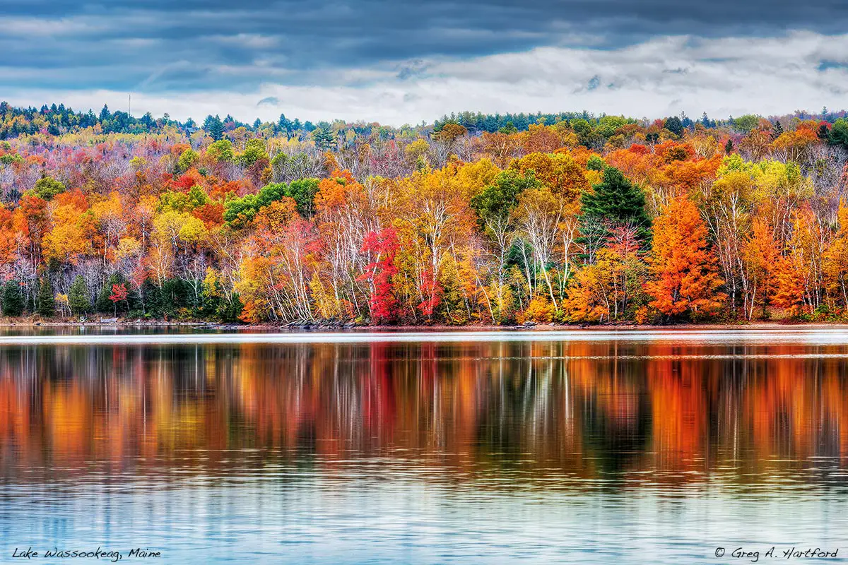Autumn Trees and reflections on Lake Wassookeag