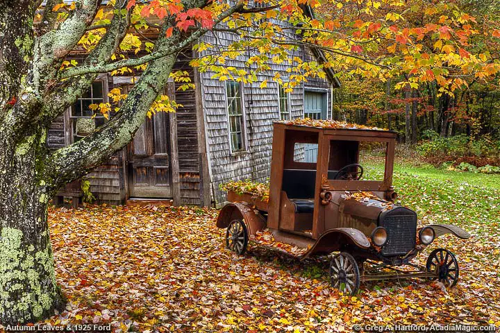 Antique 1925 Ford Pickup during autumn season