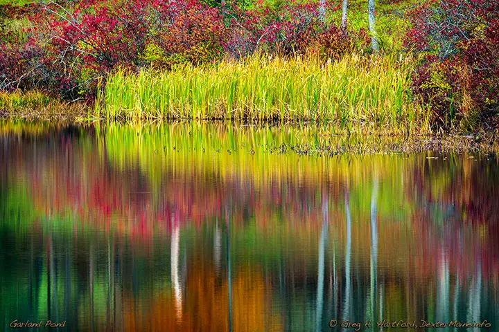 Reflections on Garland Pond